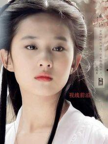 刘亦菲爆料宋宗宪视频播放,刘亦菲揭露宋宗宪视频播放背后的真相